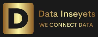 Data Inseyets logo