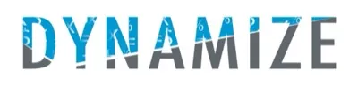 Dynamize Chartered Accountants logo