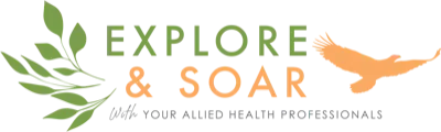 Explore and Soar logo