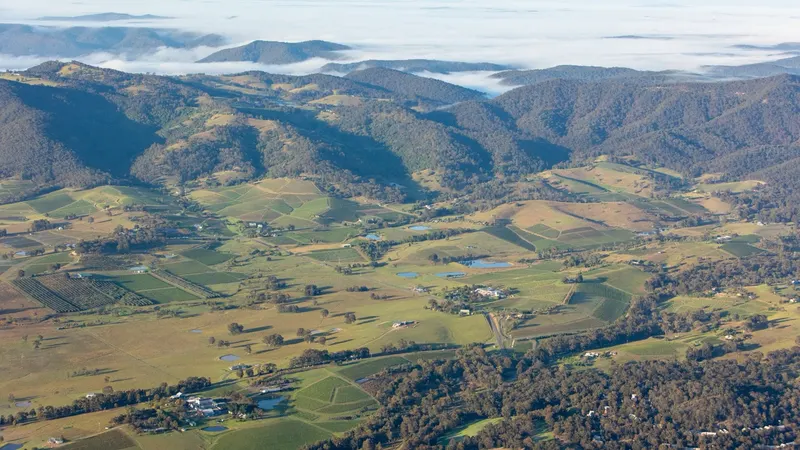 Vineyards and the Brokenback Ranges across the Hunter Valley floor, seen from the air