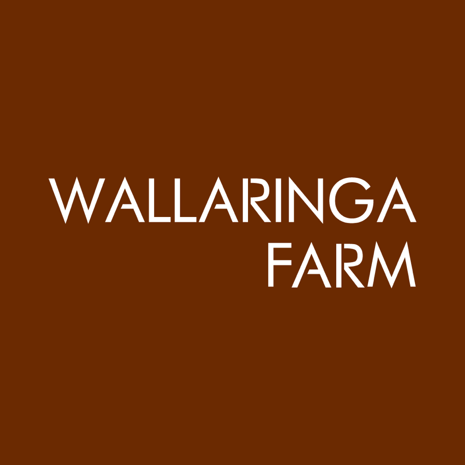 Wallaringa Farm hunter valley business hub